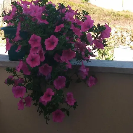 Δωμάτια σε οικογενειακή κατοικία Quartos Confortaveis Em Casa Proximo Ao Mosteiro Batalha