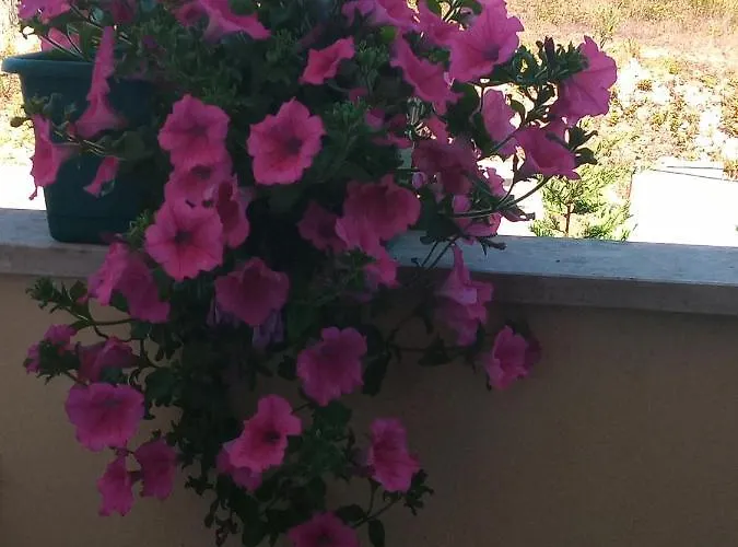 Kwatera prywatna Quartos Confortaveis Em Casa Proximo Ao Mosteiro Batalha